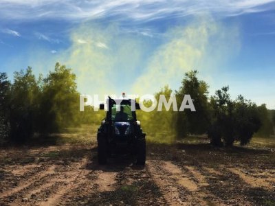 Aplicación de fitosanitarios en olivar